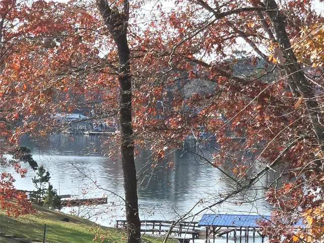 a view of a tree in a backyard