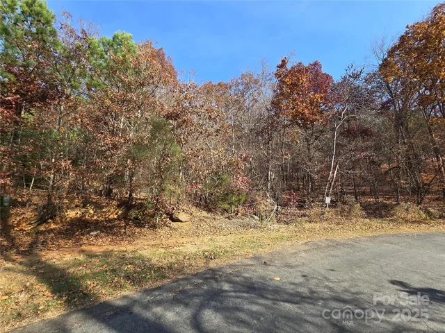 a view of road with trees