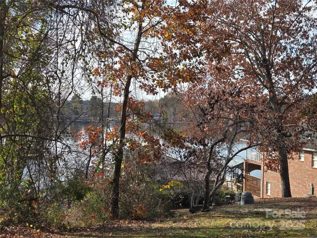 a view of a yard with a tree