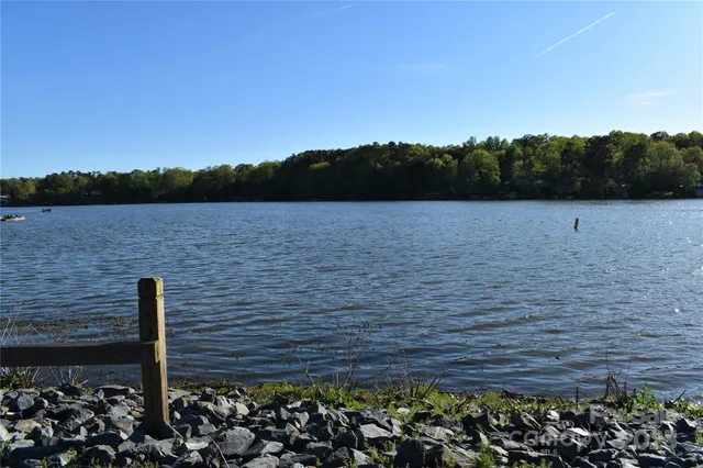 a view of a lake with a large trees