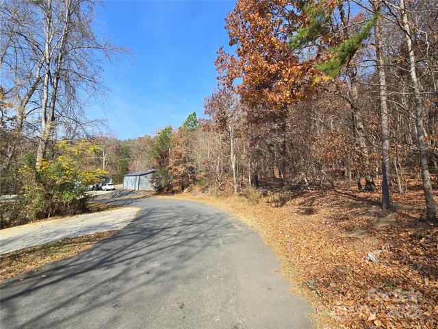 a view of empty space with trees