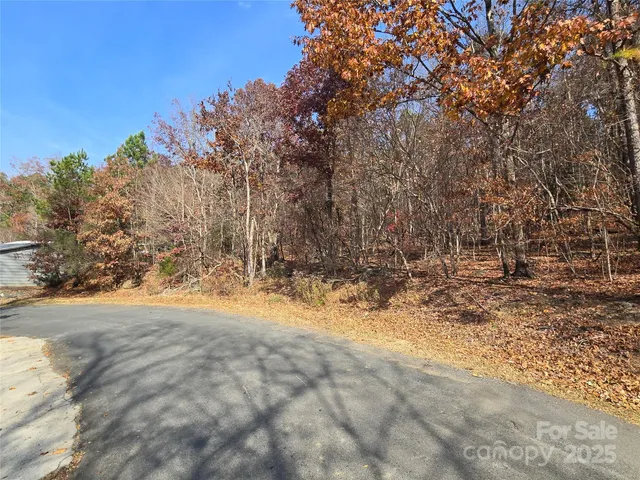 a view of a yard covered with snow in the background