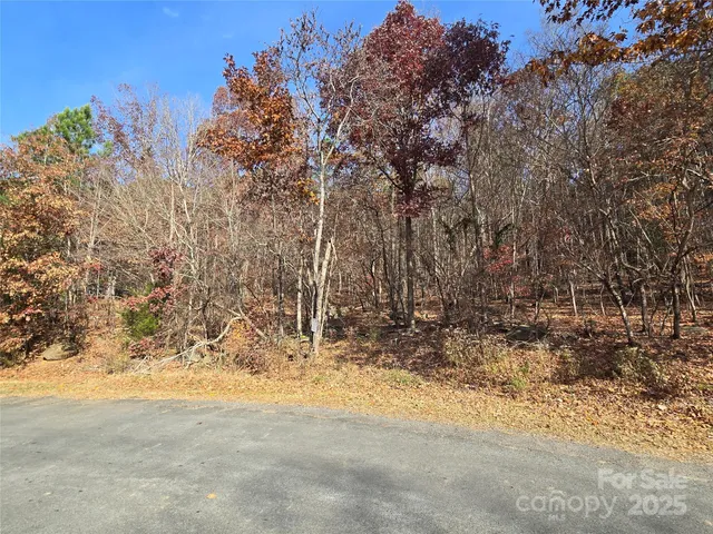 a view of a yard with trees