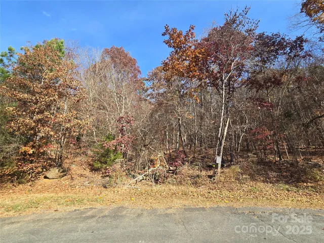 a view of a yard with a trees