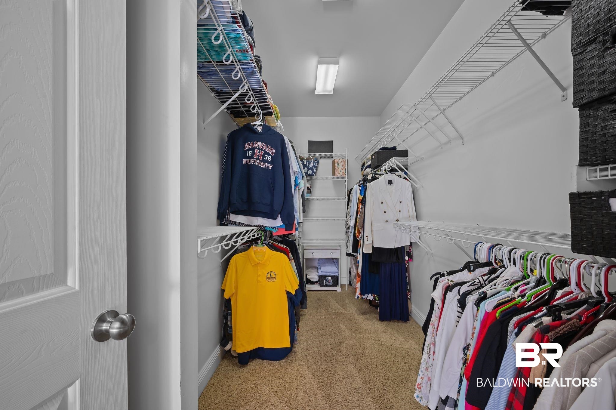 30151 Dolive Ridge Daphne, AL 36527 - Photo 16 of 37 Walk in closet featuring carpet floors