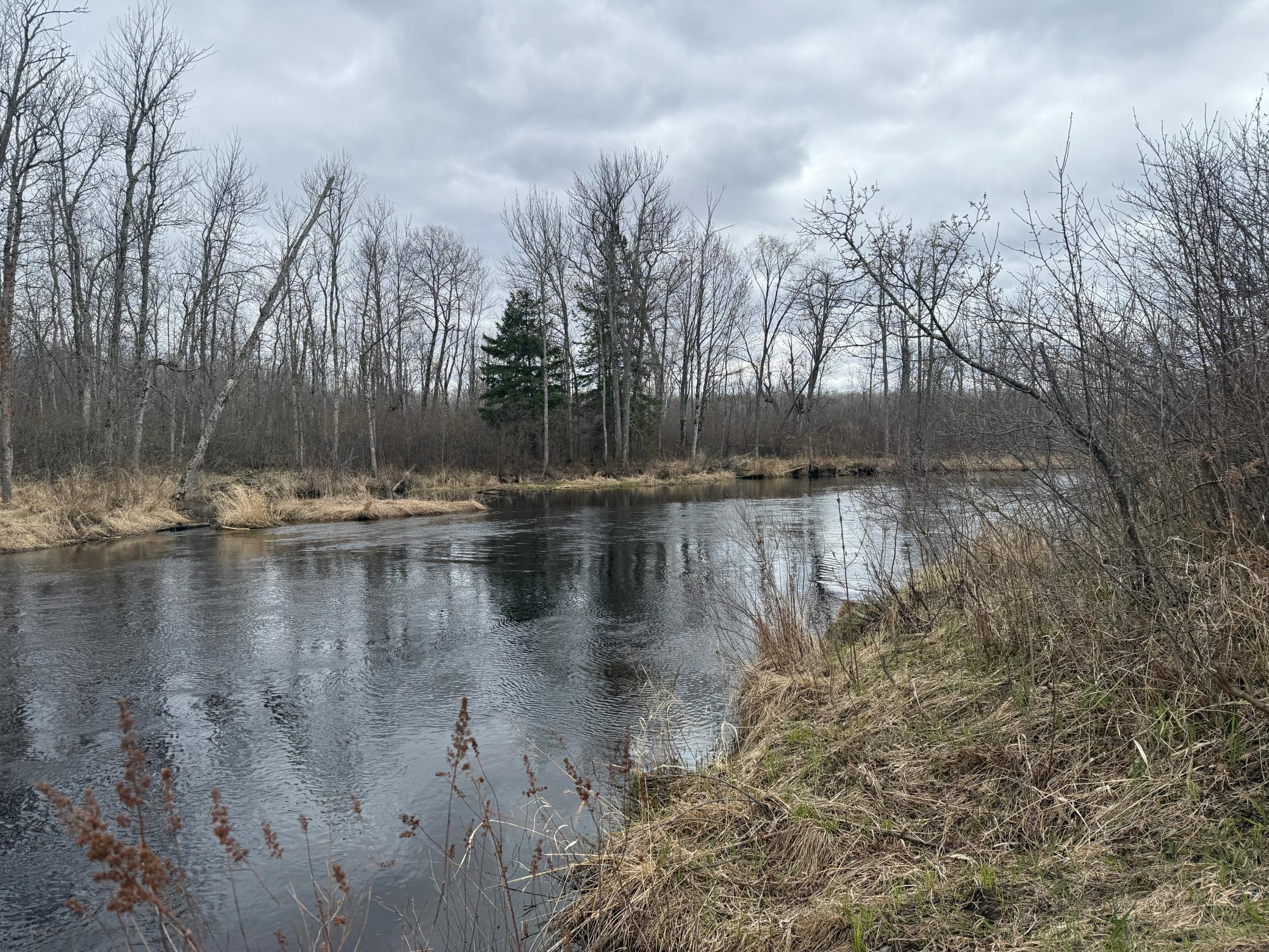 3854 Rasmussen Road Wright, MN 55798 - Photo 73 of 98
