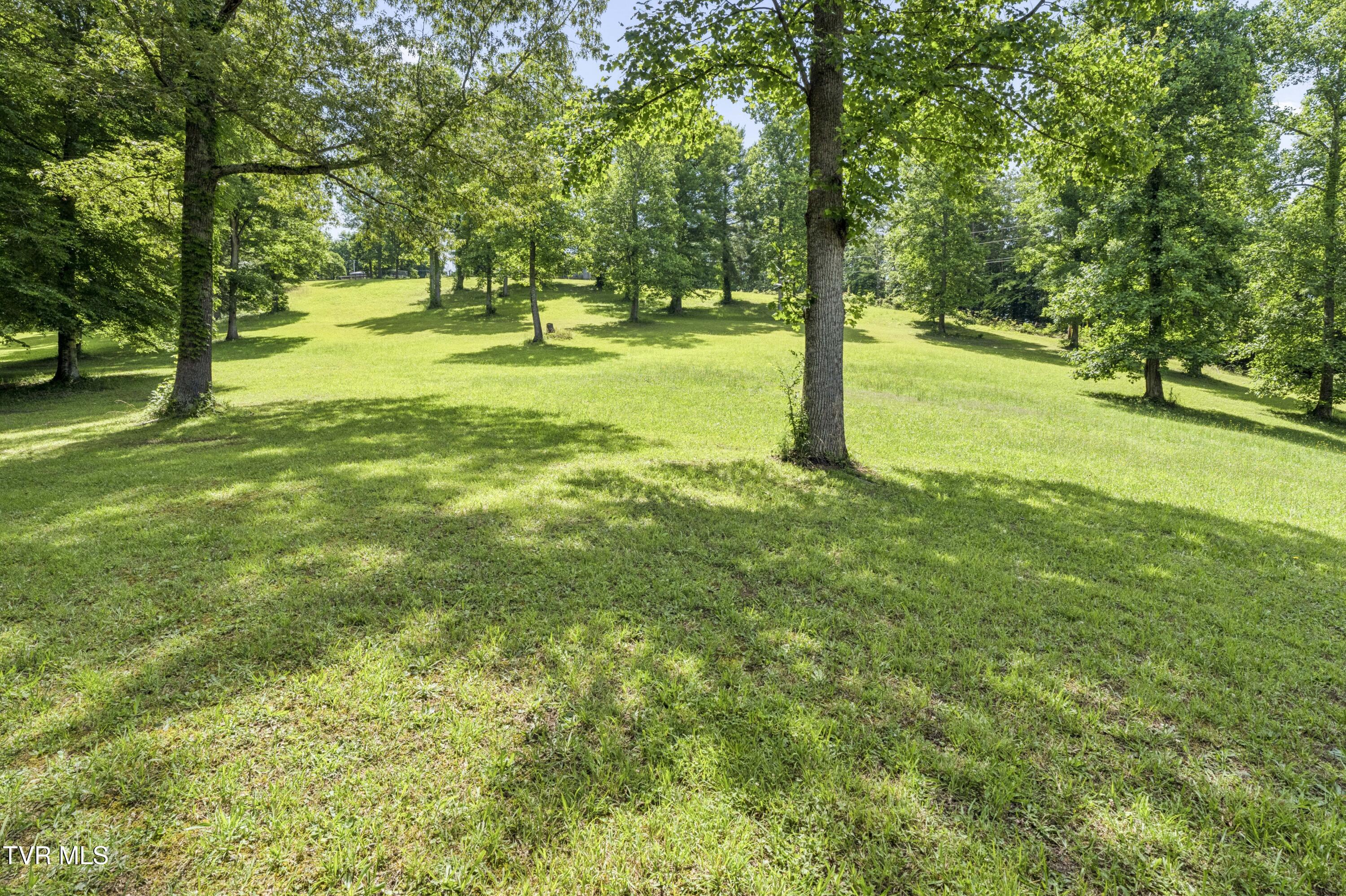 1820 Frank Roberts Road Afton, TN 37616 - Photo 58 of 73 Frank2-4