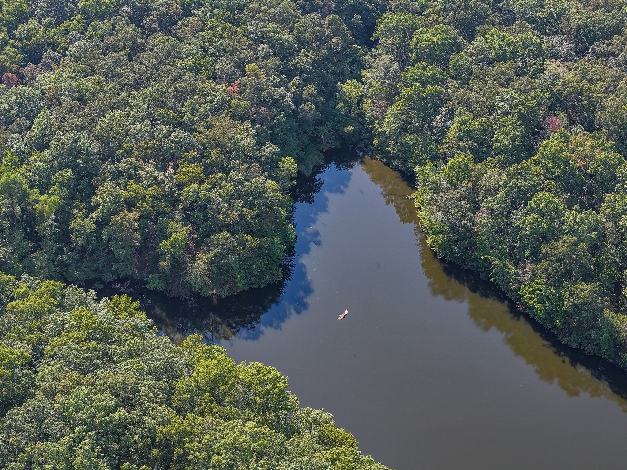 4000 Jumpoff Road Sewanee, TN 37375 - Photo 49 of 68 Gallery Image 49