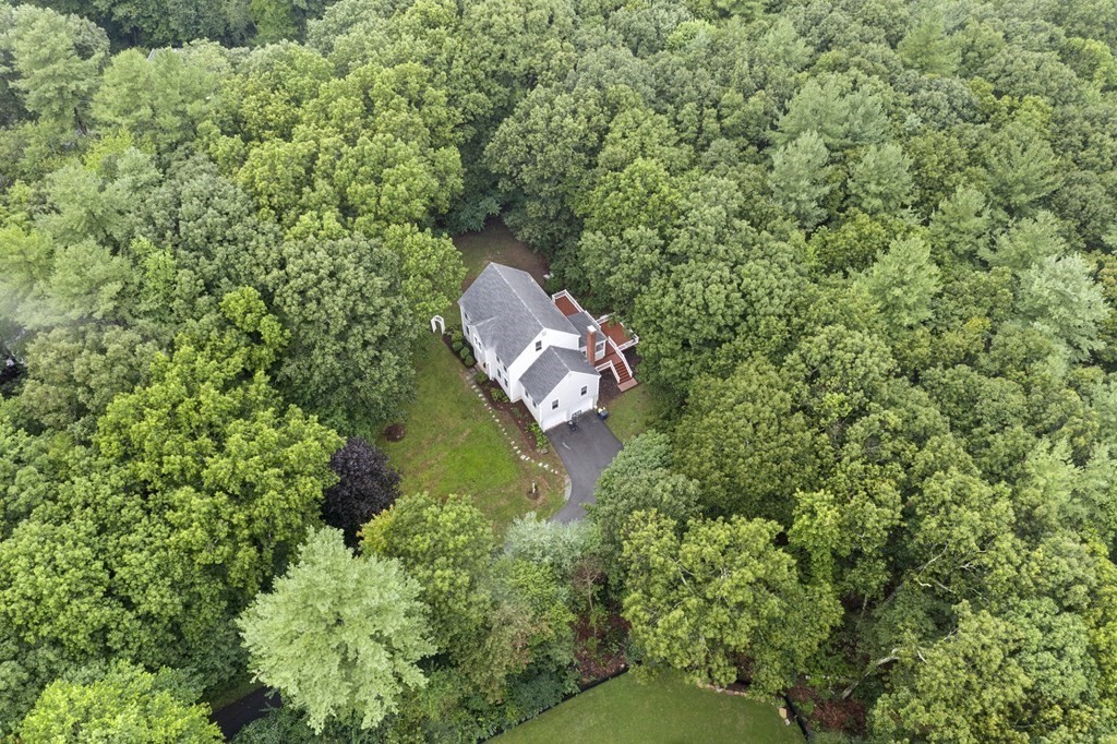 3 Daniels Road Medway, MA 02053 - Photo 27 of 28 a view of a forest with a tree