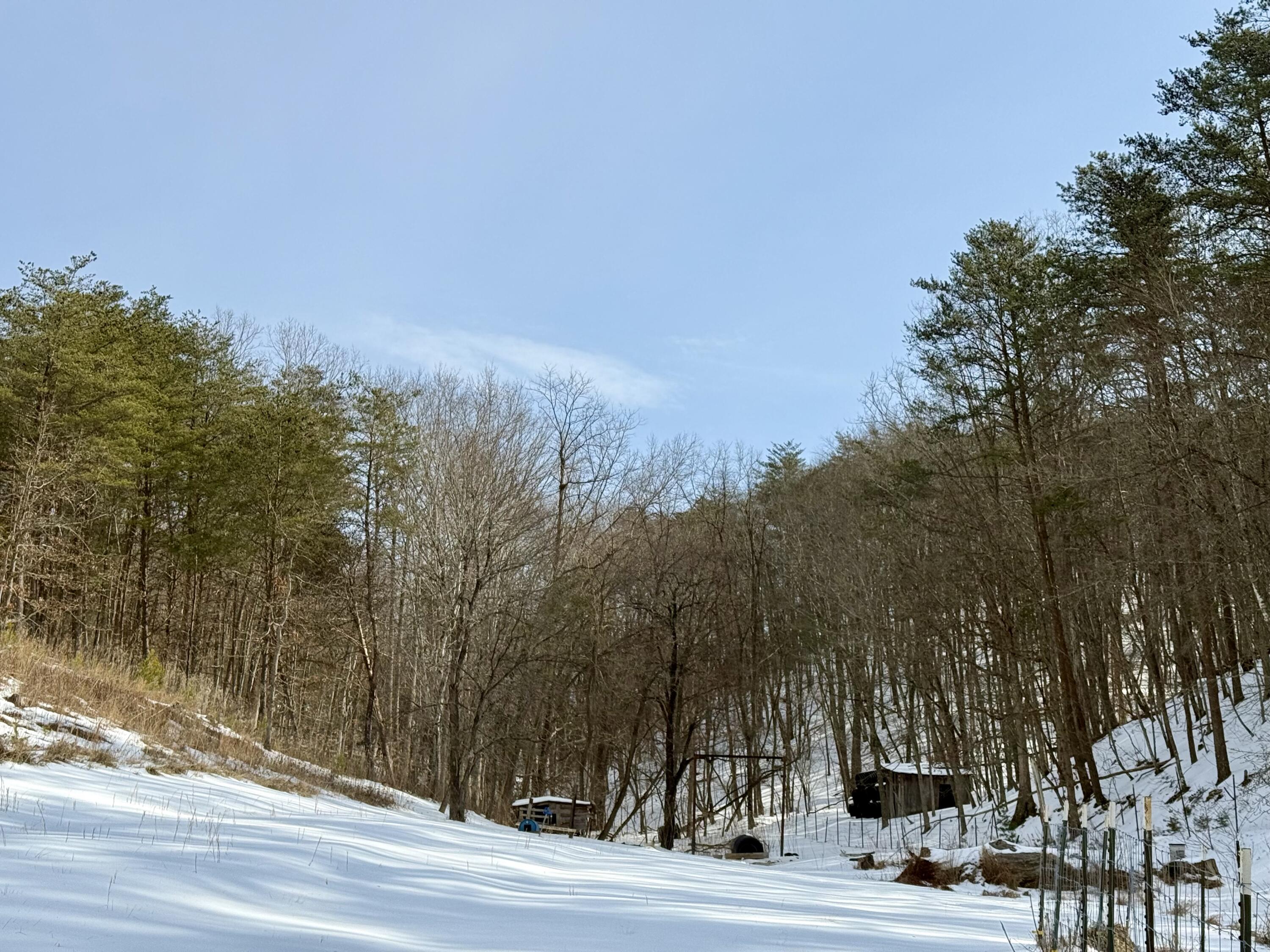 14967 Craig Creek Road Eagle Rock, VA 24085 - Photo 3 of 11 IMG_7973