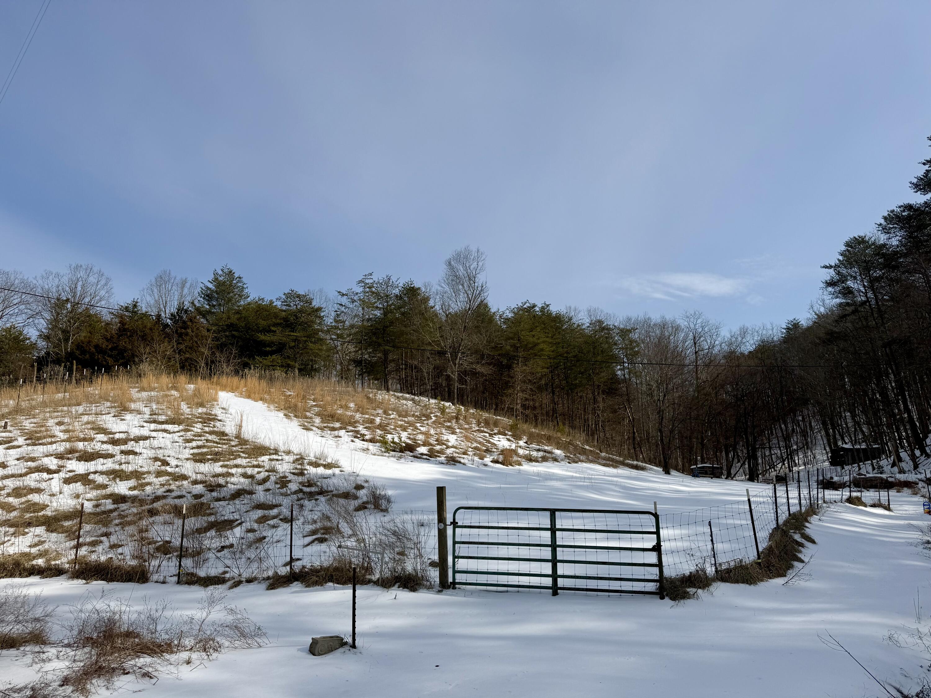 14967 Craig Creek Road Eagle Rock, VA 24085 - Photo 5 of 11 IMG_7970