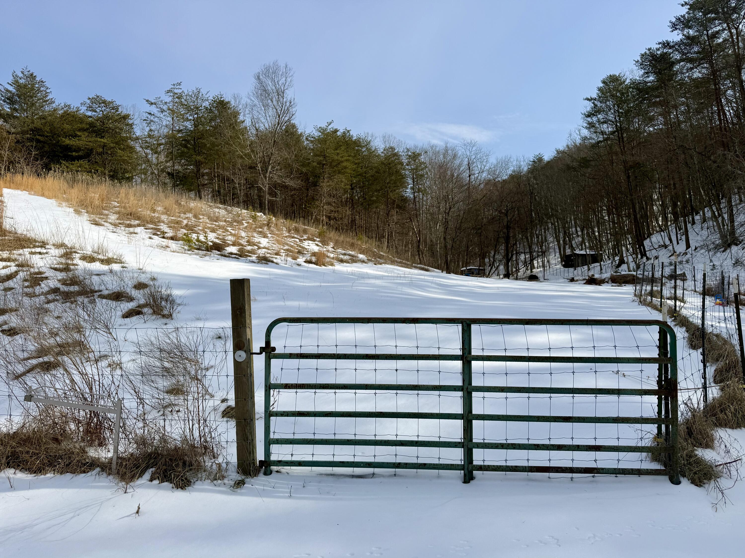 14967 Craig Creek Road Eagle Rock, VA 24085 - Photo 6 of 11 IMG_7971