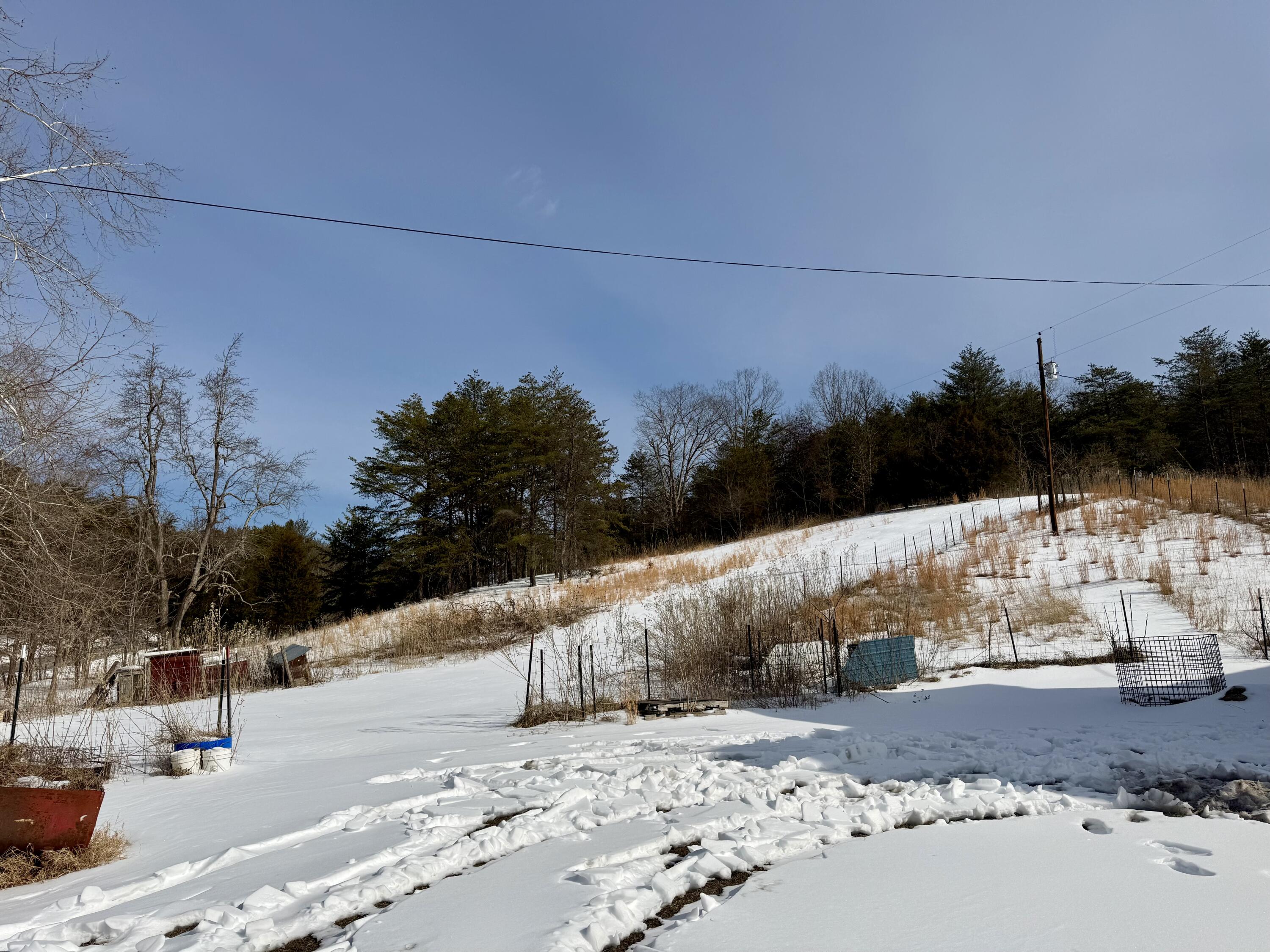 14967 Craig Creek Road Eagle Rock, VA 24085 - Photo 7 of 11 IMG_7979