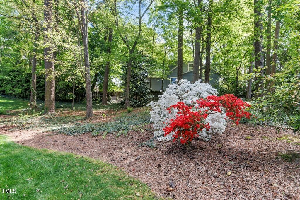 3117 Woodgreen Drive Raleigh, NC 27607 - Photo 33 of 37 035-481295-IMG_5831
