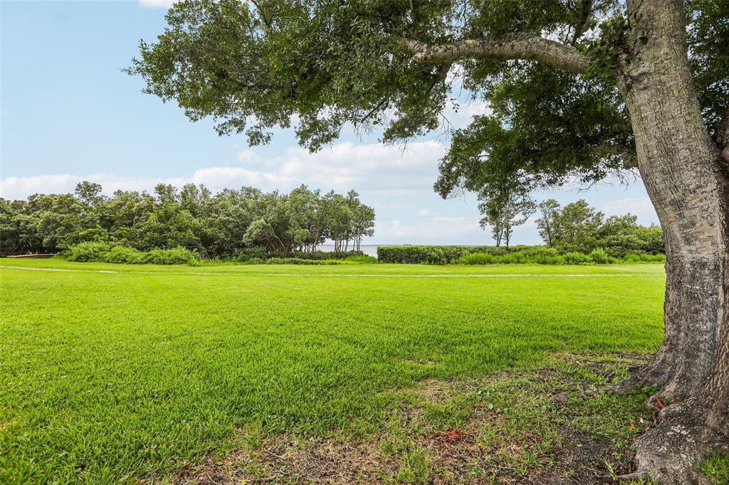 610 Indiana Avenue Crystal Beach, FL 34683 - Photo 28 of 53