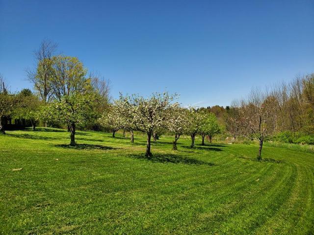 4764 Yankee Bush Road Warren, PA 16365 - Photo 52 of 68 Gallery Image 52