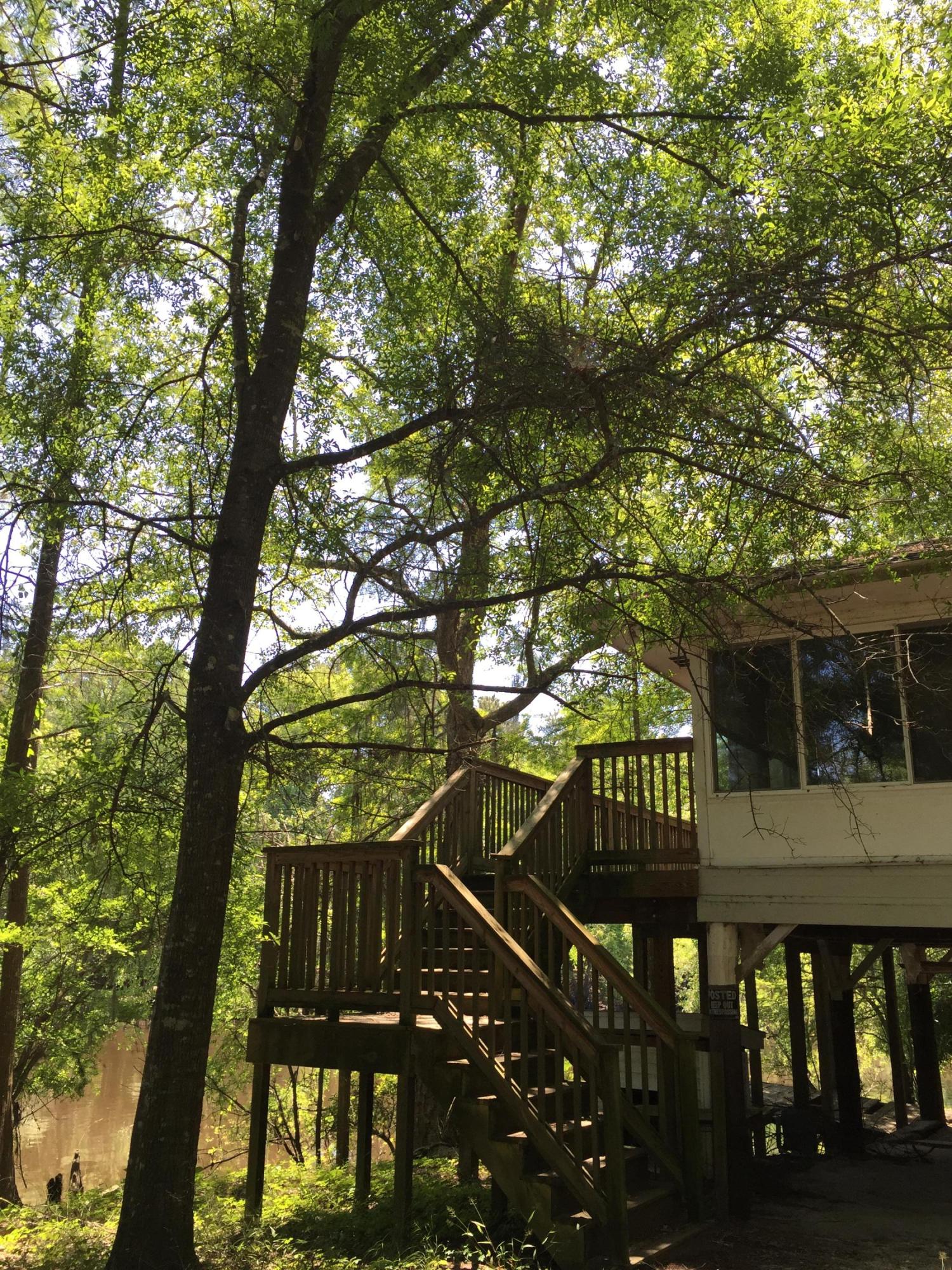 70 Hollow Log Court Ridgeville, SC 29472 - Photo 1 of 12 IMG_0915
