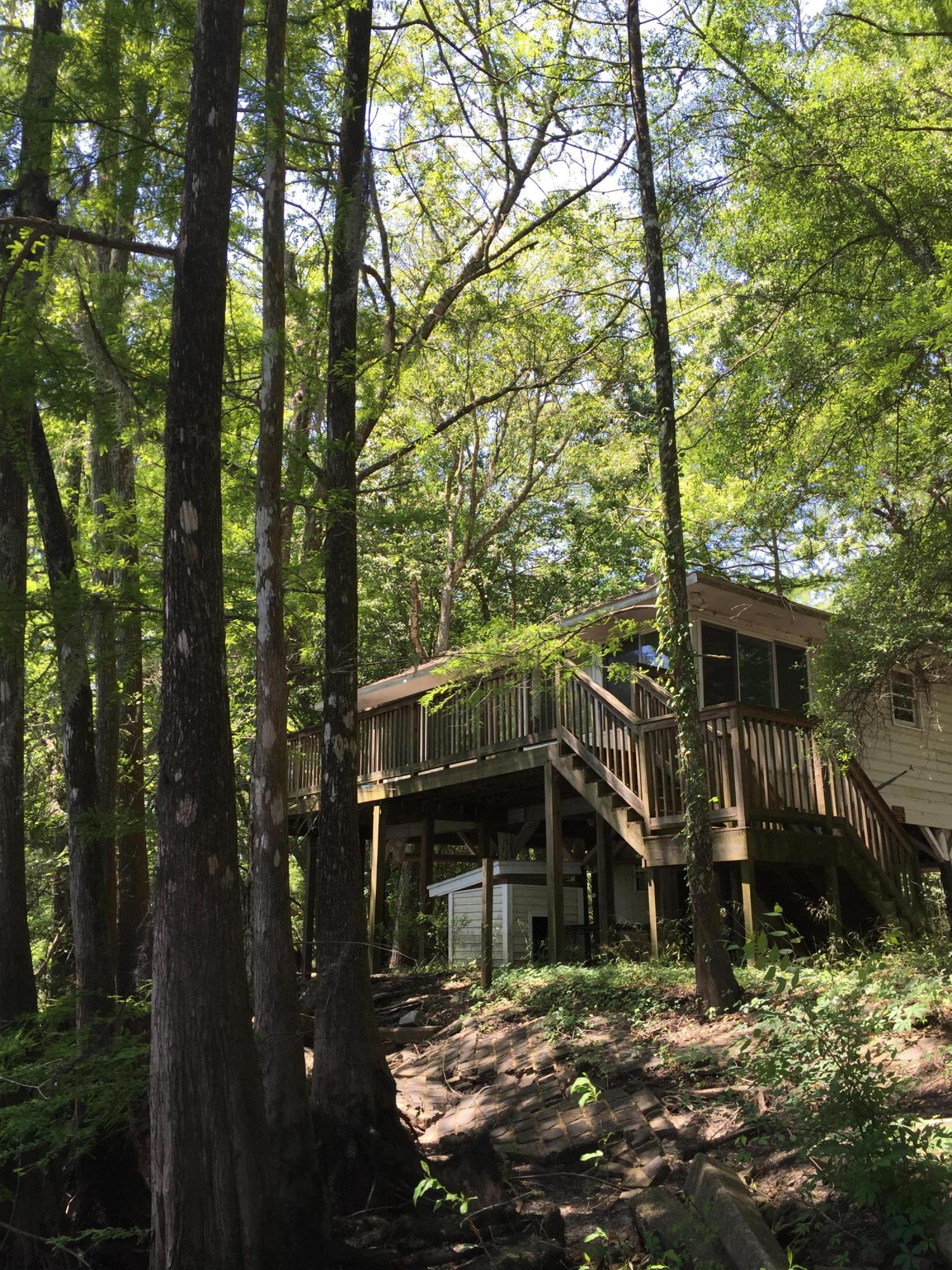70 Hollow Log Court Ridgeville, SC 29472 - Photo 3 of 12 IMG_0909
