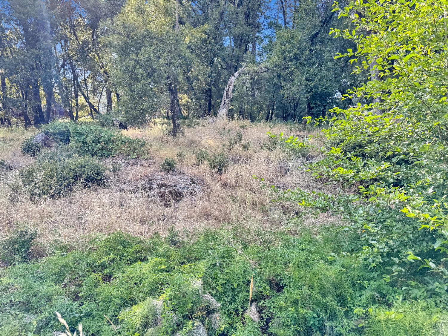 15340 Brewer Road Grass Valley, CA 95949 - Photo 4 of 8