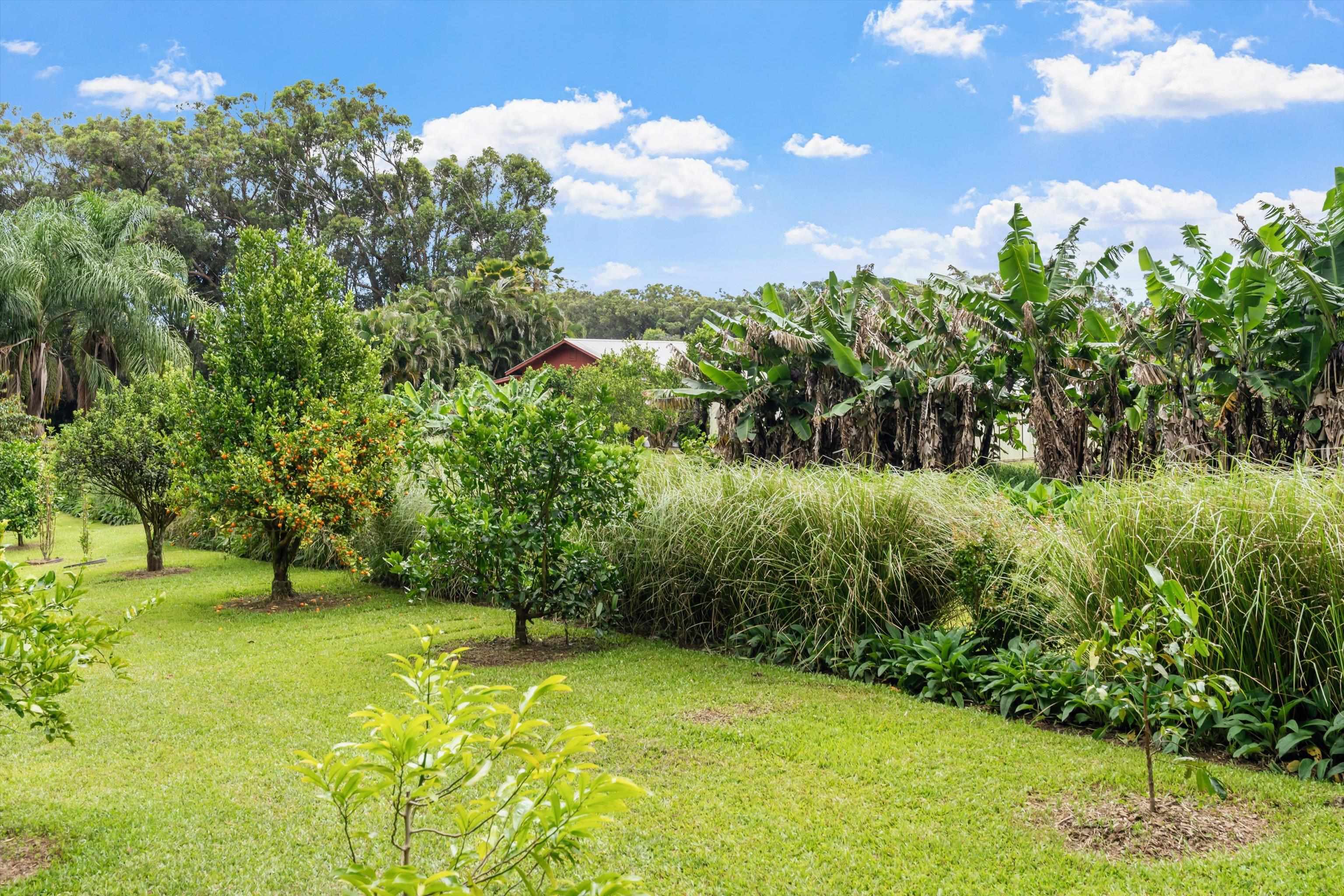 169 Waipalani Road Haiku, HI 96708 - Photo 48 of 50