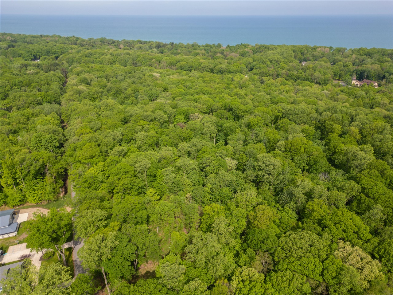 0 Red Arrow Highway Lakeside, MI 49128 - Photo 3 of 25