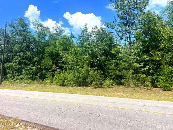 $26,900 | Tbd Linwood Drive, Chipley, FL 32428