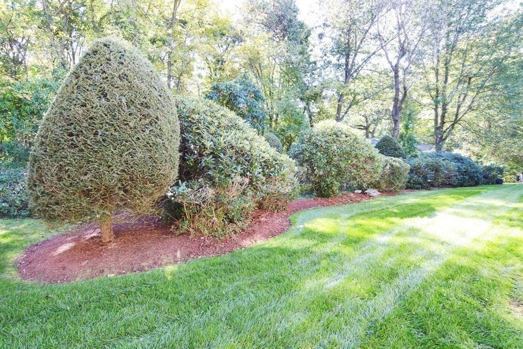 153 Porter Lake Drive, Unit 153 Springfield, MA 01106 - Photo 39 of 42