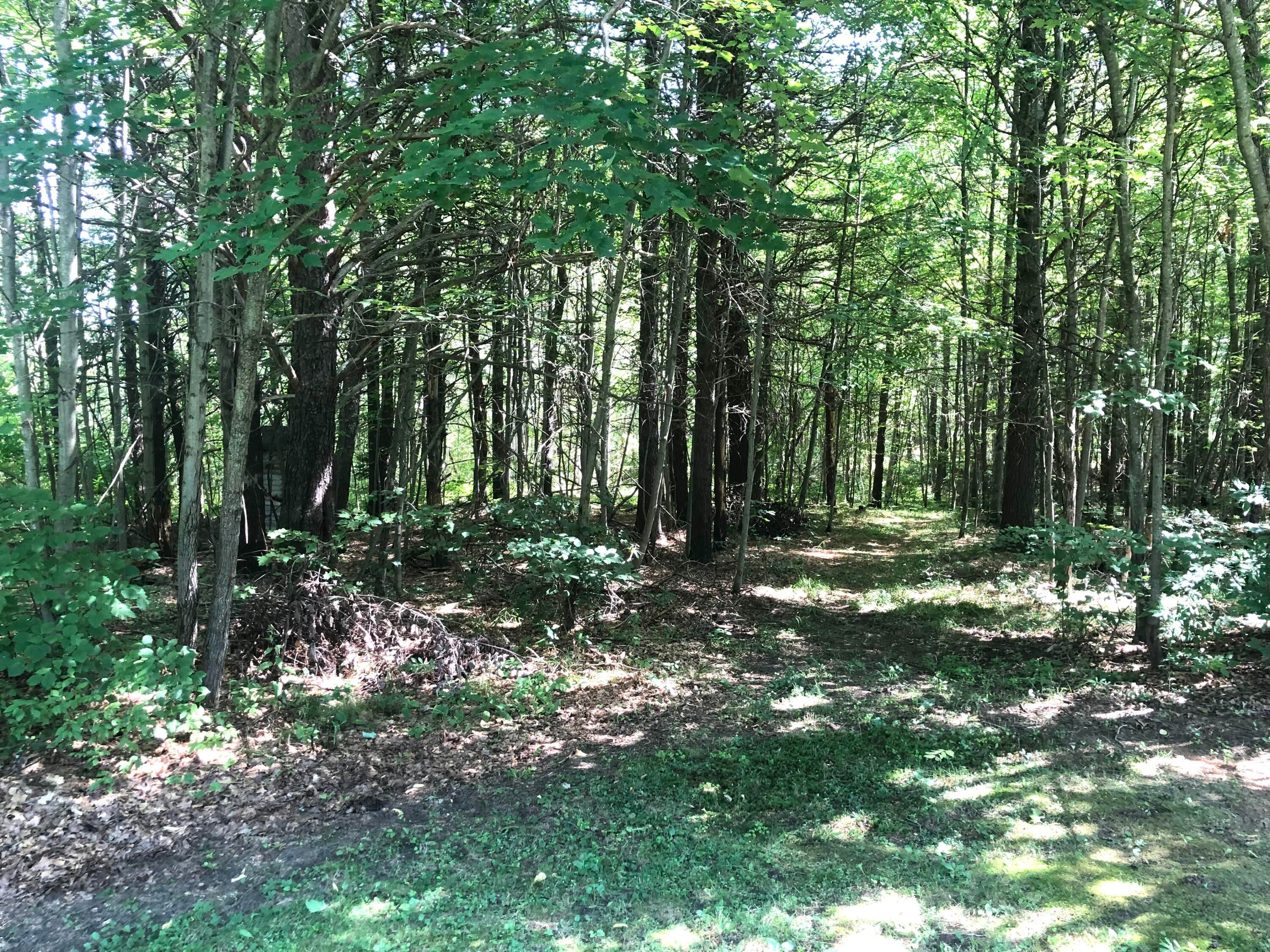 11878 Maple Valley Road Roscommon, MI 48653 - Photo 17 of 34 Gallery Image 17