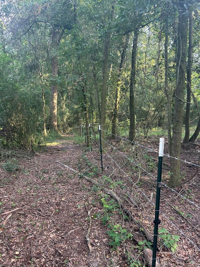 1164 Lake Frankie Road Samson, AL 36477 - Photo 10 of 36