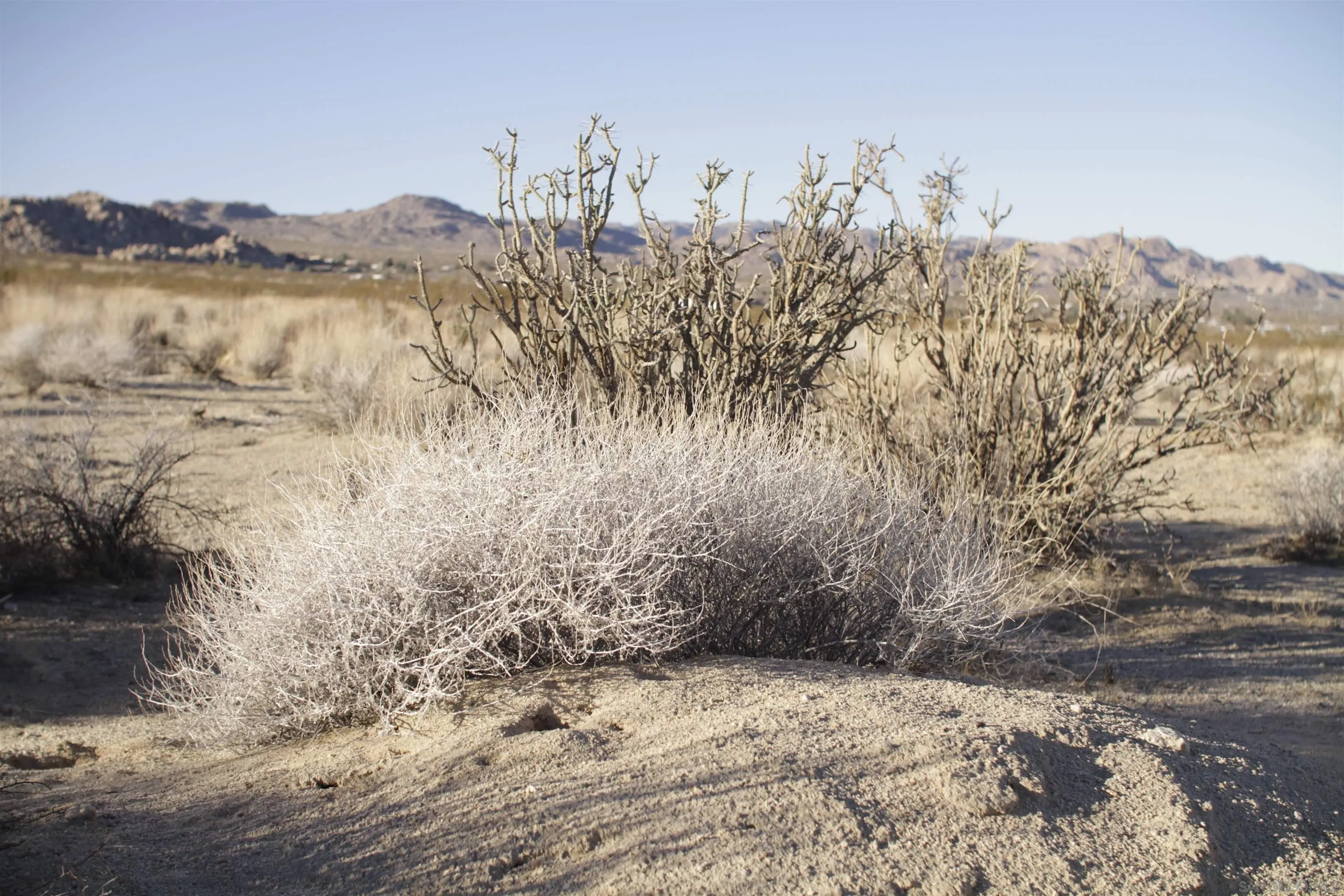 29 Palms Highway, Unit 1 Joshua Tree, CA 92252 - Photo 15 of 31 a view of lake