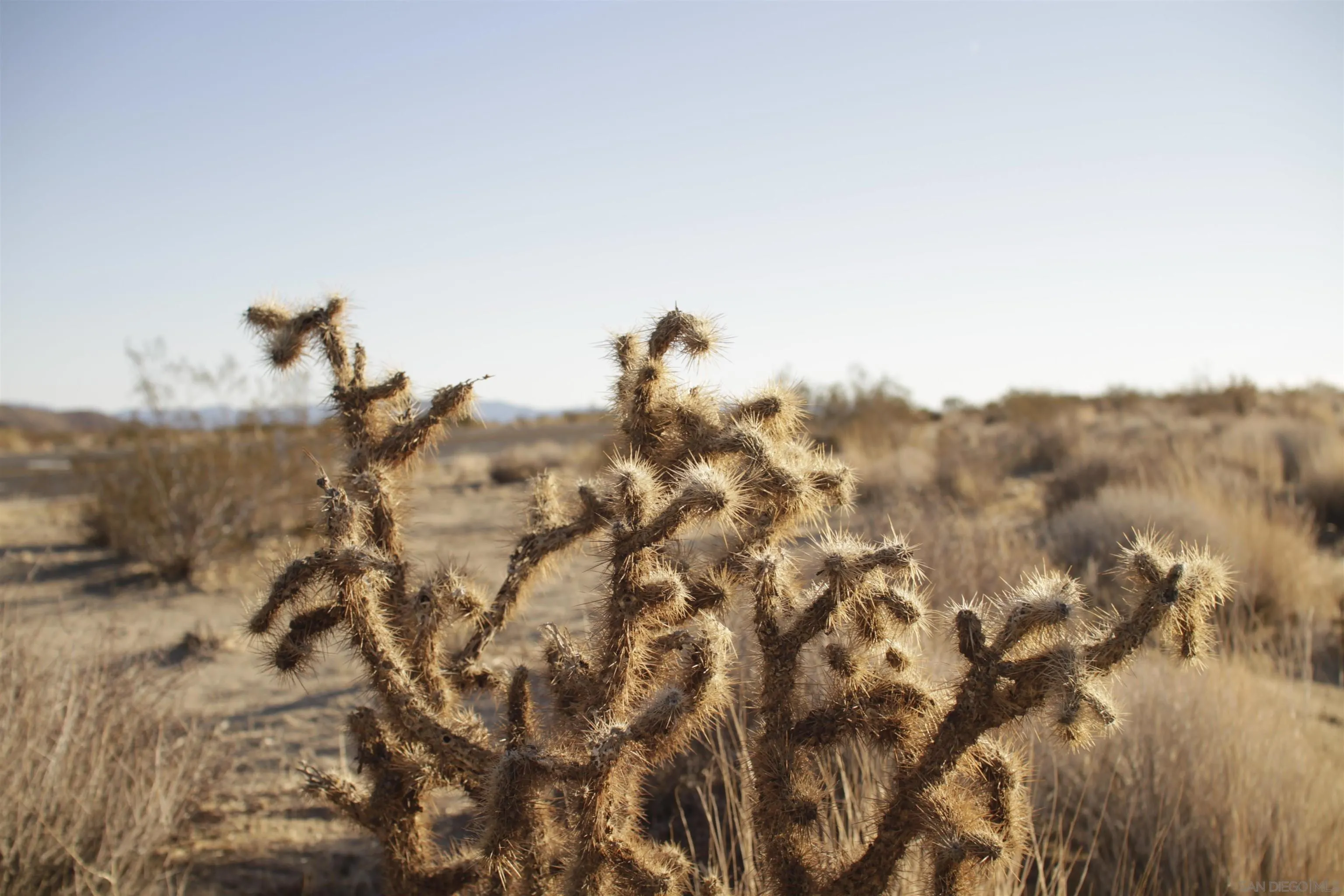 29 Palms Highway, Unit 1 Joshua Tree, CA 92252 - Photo 23 of 31