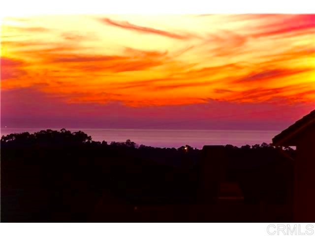 3220 Sitio Montecillo Carlsbad, CA 92009 - Photo 3 of 48