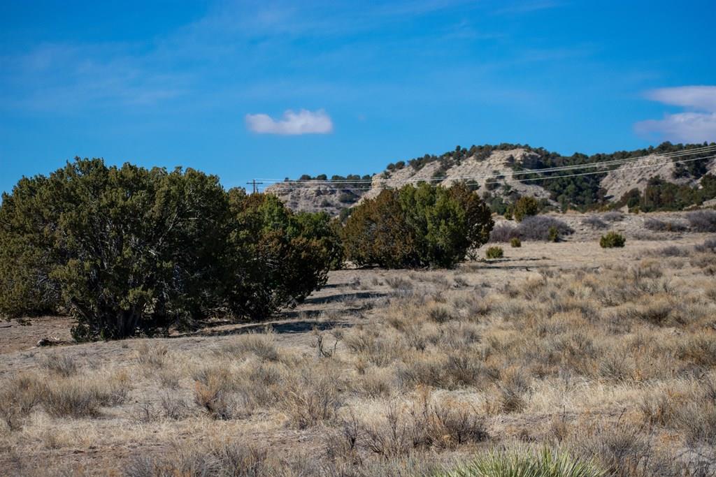 Tbd Cedarwood Road Rye, CO 81069 - Photo 11 of 15