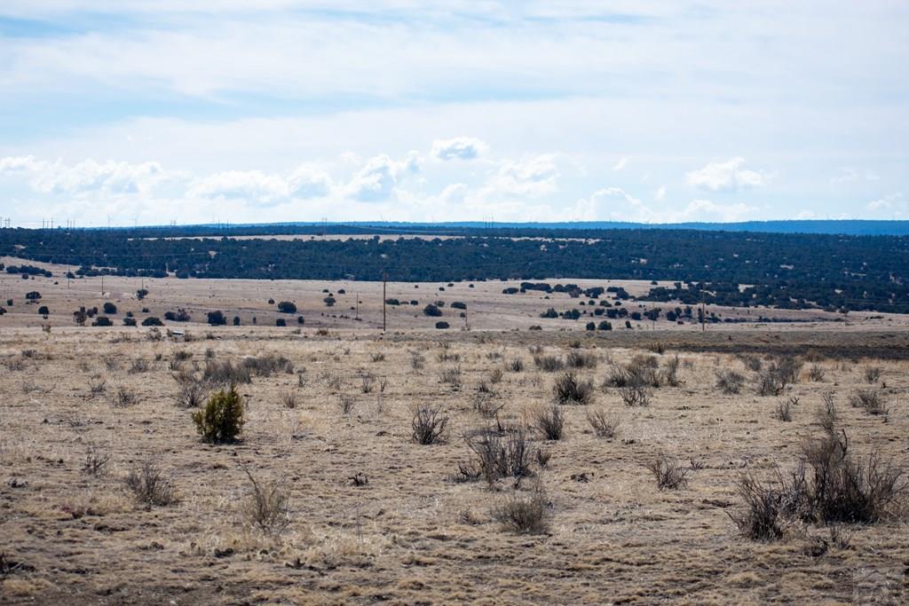 Tbd Cedarwood Road Rye, CO 81069 - Photo 12 of 15