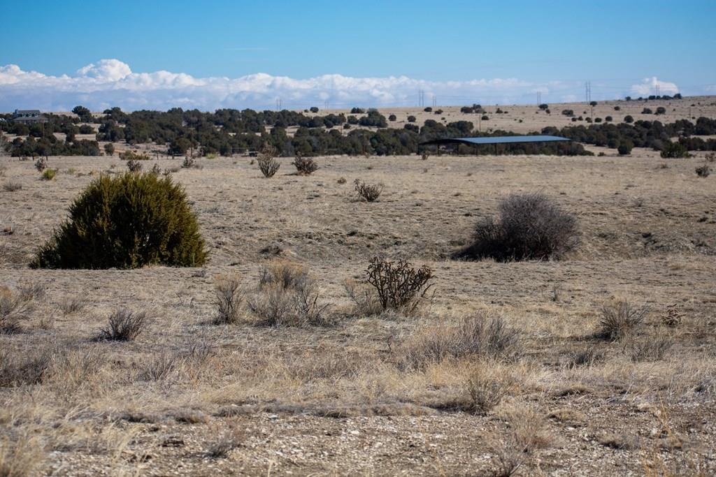 Tbd Cedarwood Road Rye, CO 81069 - Photo 13 of 15