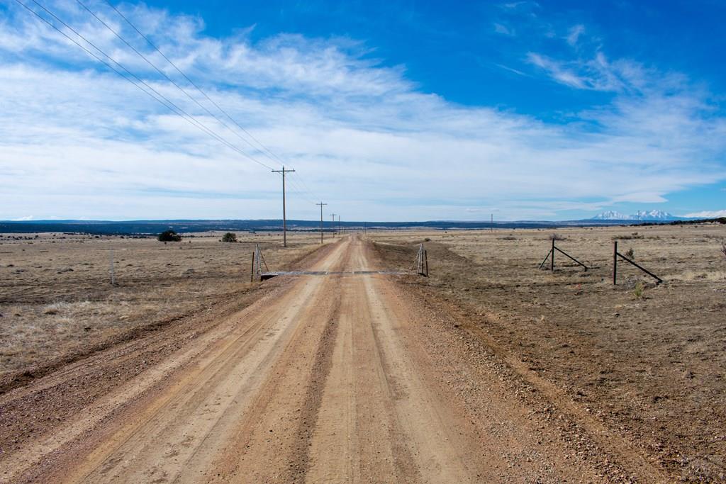 Tbd Cedarwood Road Rye, CO 81069 - Photo 4 of 15