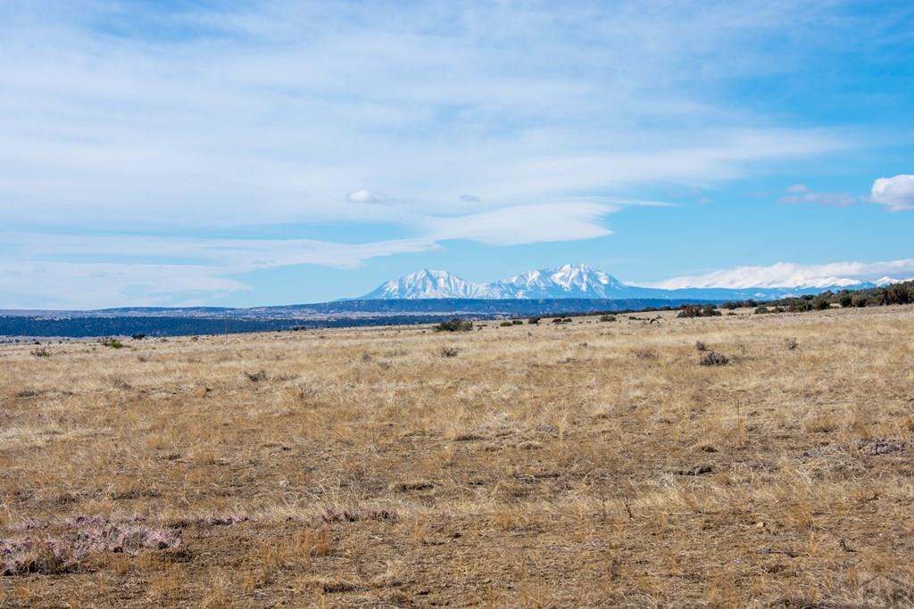 Tbd Cedarwood Road Rye, CO 81069 - Photo 6 of 15