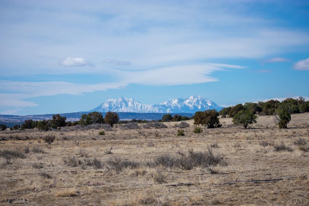 Tbd Cedarwood Road Rye, CO 81069 - Photo 8 of 15