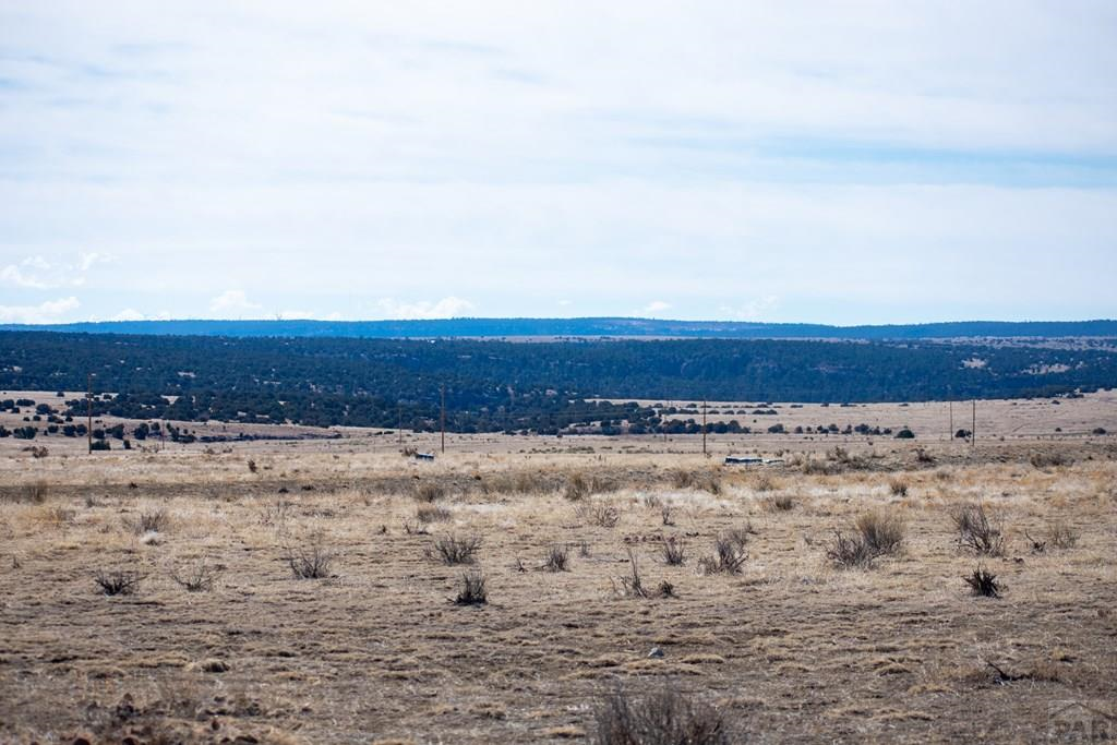 Tbd Cedarwood Road Rye, CO 81069 - Photo 9 of 15