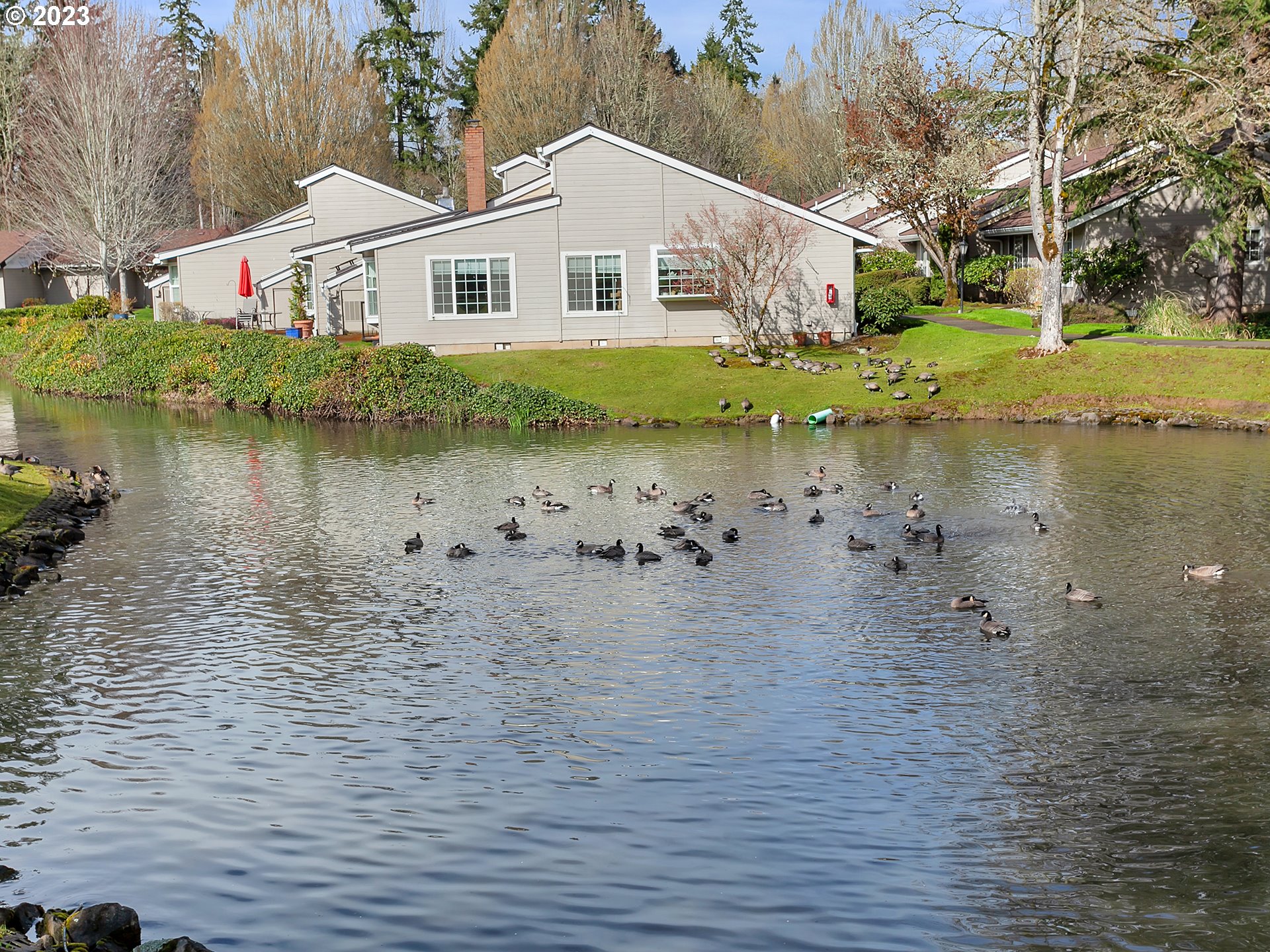 13775 Southwest Scholls Ferry Road, Unit 101 Beaverton, OR 97008 - Photo 4 of 28 Gallery Image 4