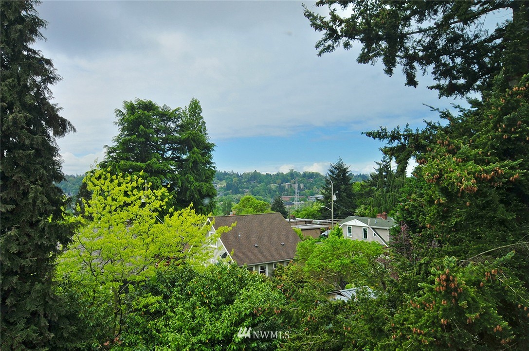209 North 41st Street Seattle, WA 98103 - Photo 7 of 9 Gallery Image 7