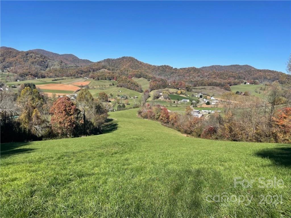 Tbd Newfound Road Leicester, NC 28748 - Photo 2 of 8 a view of a lush green field with mountains in the background
