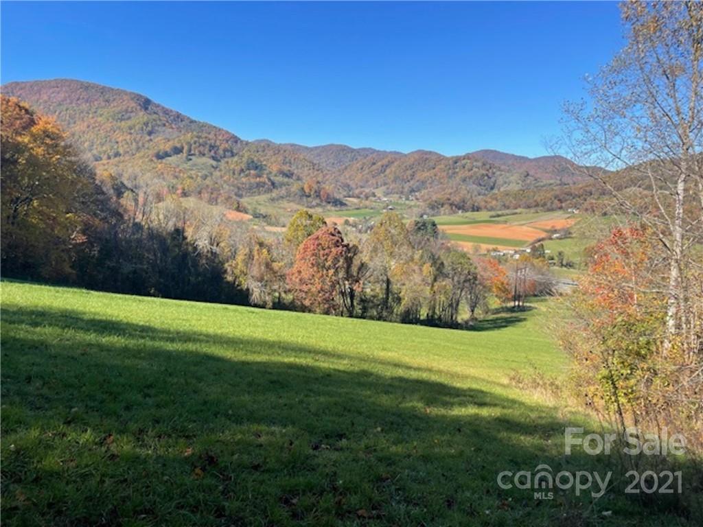 Tbd Newfound Road Leicester, NC 28748 - Photo 3 of 8 a view of a mountain with a yard