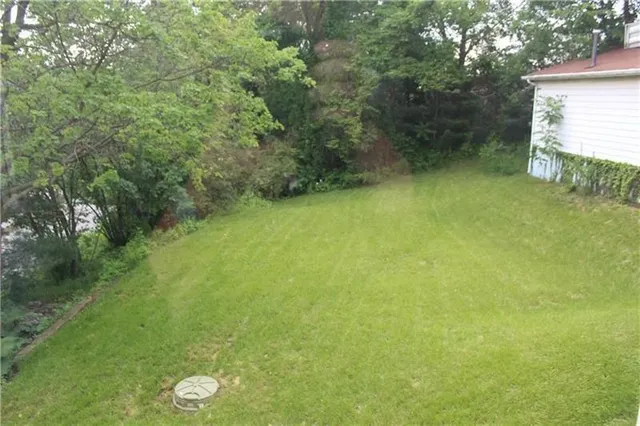 a view of a back yard