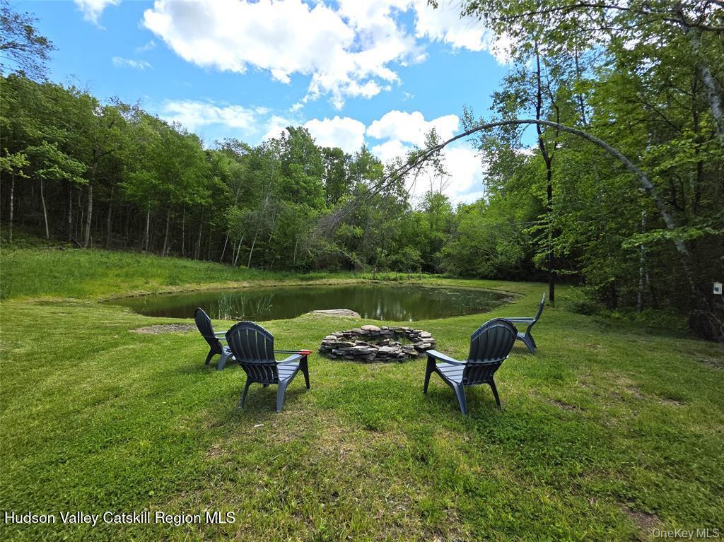 1227 Gulf Road Roscoe, NY 12776 - Photo 33 of 47 GetMedia (39)