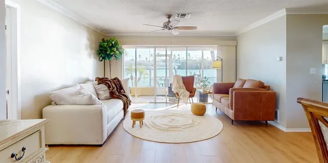 a living room with furniture and a potted plant