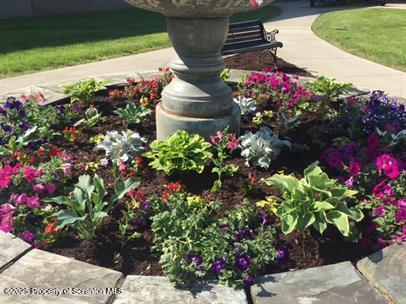 800 James Avenue, Unit 1104 Scranton, PA 18510 - Photo 26 of 35 a view of a flower in a yard