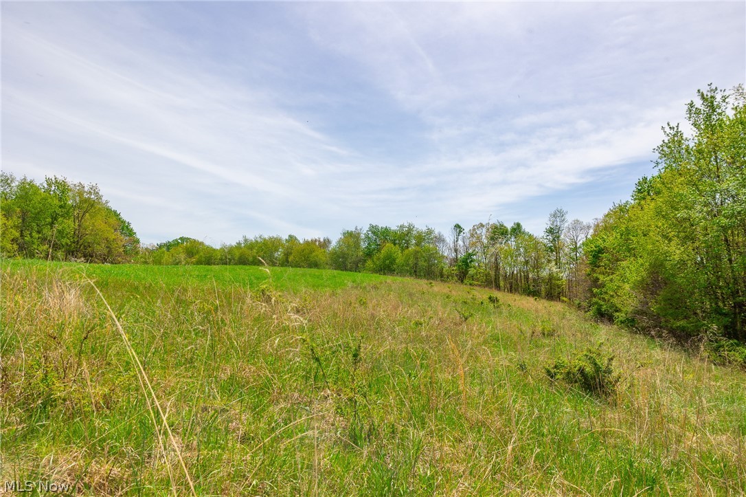 6268 Kings Ridge Road Newcomerstown, OH 43832 - Photo 5 of 46
