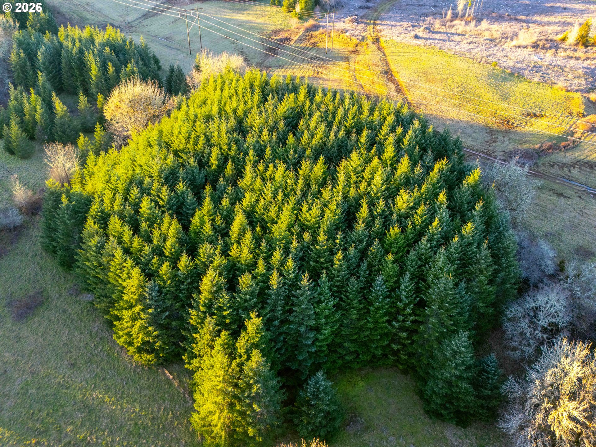 22399 Harris Road, Unit TL800 Philomath, OR 97370 - Photo 11 of 48