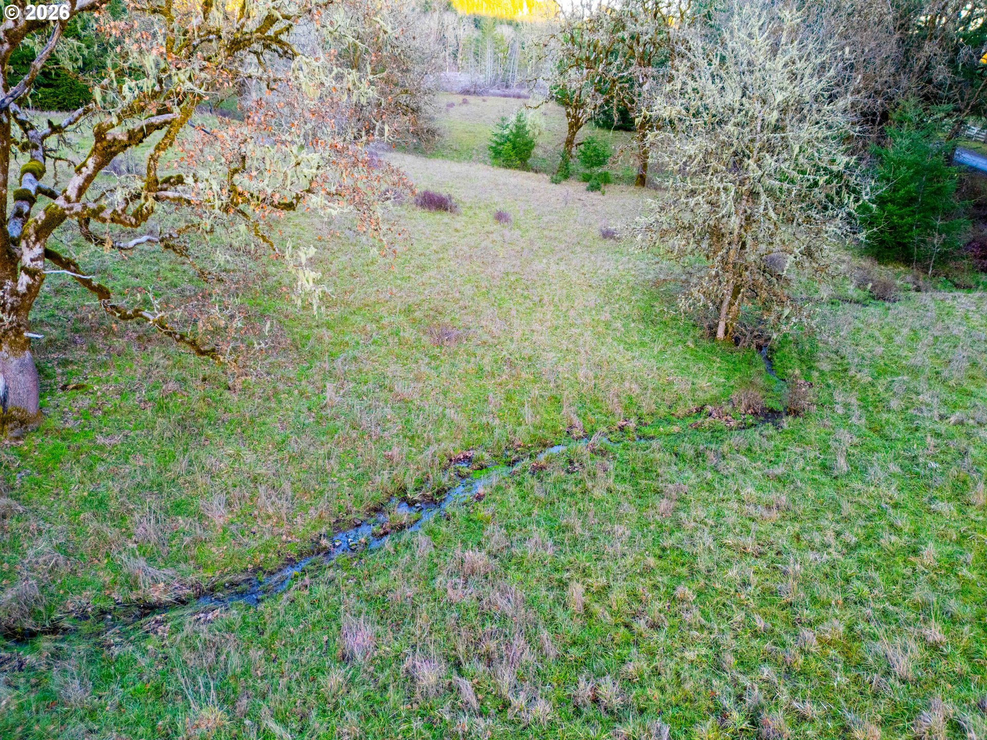 22399 Harris Road, Unit TL800 Philomath, OR 97370 - Photo 12 of 48